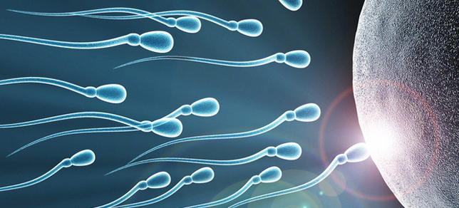 Sleep and Infertility